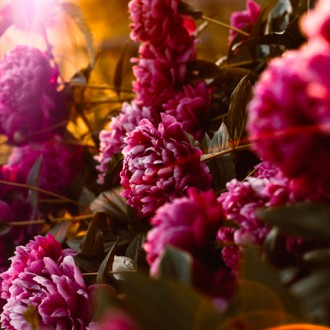 Encyclopédie des fleurs composant les bouquets de Flower