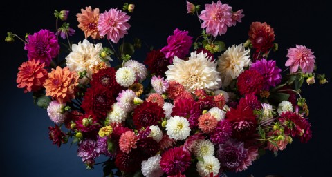 Livraison de bouquets de fleurs à Paris et sa région en 4 h.