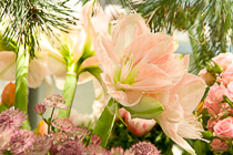 Comment Dessiner Des Roses Au Crayon Tutoriel