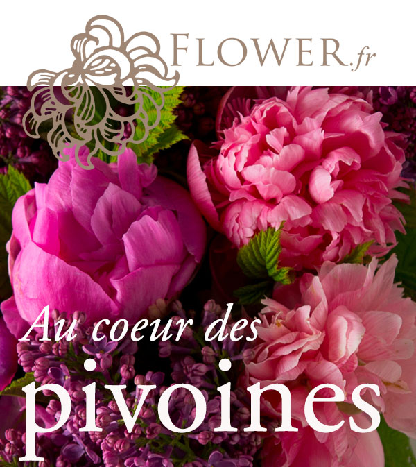 Devenez Pivoine Addict Avec Flower