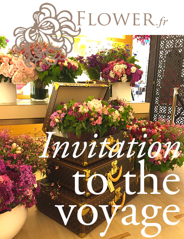 Invitation to the voyage by FLOWER